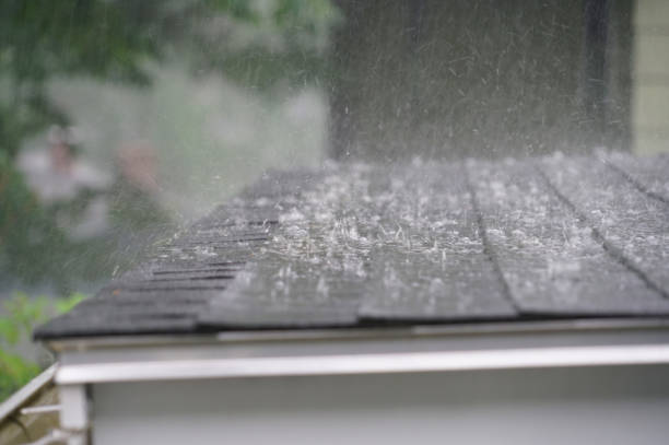Best Roof Insulation Installation  in Verona, KY