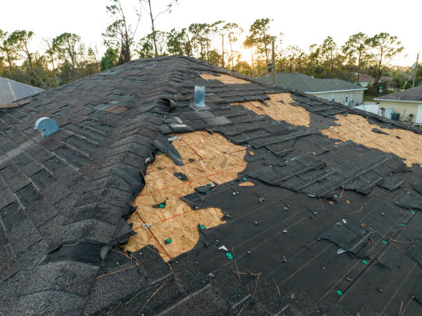 Best Roof Leak Repair  in Verona, KY