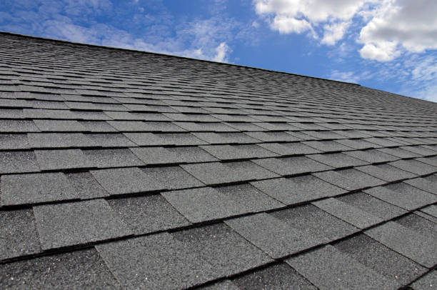 Best Roof Coating and Sealing  in Verona, KY